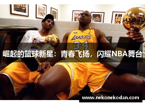 崛起的篮球新星：青春飞扬，闪耀NBA舞台